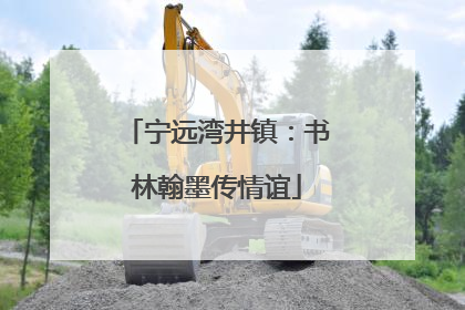 宁远湾井镇：书林翰墨传情谊