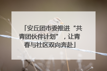 安丘团市委推进“共青团伙伴计划”，让青春与社区双向奔赴