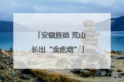 安徽旌德 荒山长出“金疙瘩”