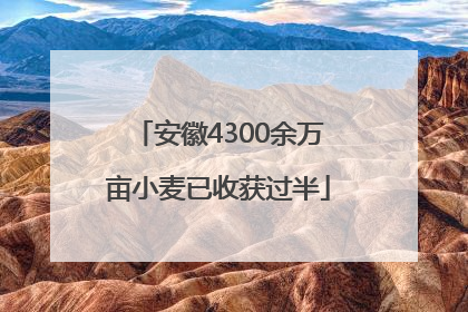 安徽4300余万亩小麦已收获过半