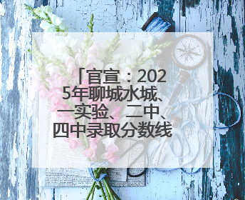 官宣：2025年聊城水城、一实验、二中、四中录取分数线公布