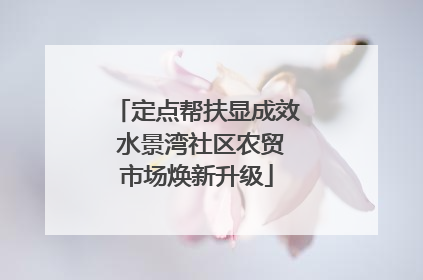 定点帮扶显成效 水景湾社区农贸市场焕新升级
