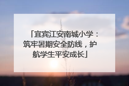 宜宾江安南城小学：筑牢暑期安全防线，护航学生平安成长