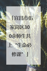宜昌市伍家岗区300余师生共上“生命必修课”
