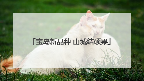 宝岛新品种 山城结硕果