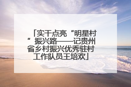 实干点亮“明星村”振兴路——记贵州省乡村振兴优秀驻村工作队员王培欢