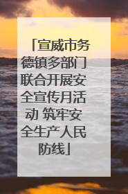 宣威市务德镇多部门联合开展安全宣传月活动 筑牢安全生产人民防线