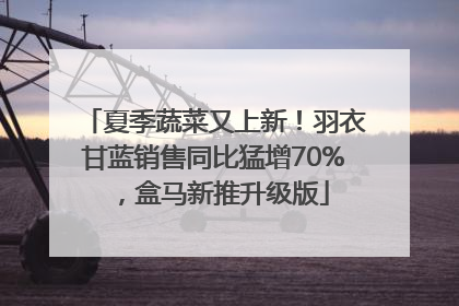 夏季蔬菜又上新！羽衣甘蓝销售同比猛增70%，盒马新推升级版