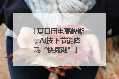 夏日用电高峰期，AI按下节能降耗“快捷键”