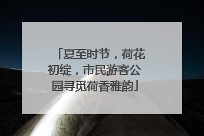 夏至时节，荷花初绽，市民游客公园寻觅荷香雅韵