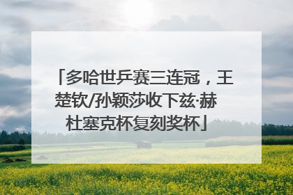多哈世乒赛三连冠，王楚钦/孙颖莎收下兹·赫杜塞克杯复刻奖杯