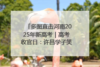 多图直击河南2025年新高考｜高考收官日：许昌学子笑迎鲜花与祝福