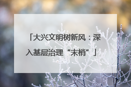 大兴文明树新风：深入基层治理“末梢”