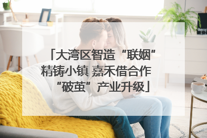 大湾区智造“联姻”精铸小镇 嘉禾借合作“破茧”产业升级