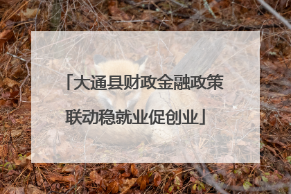 大通县财政金融政策联动稳就业促创业