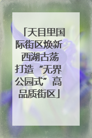 天目里国际街区焕新 西湖古荡打造“无界公园式”高品质街区