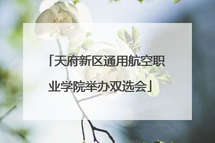 天府新区通用航空职业学院举办双选会