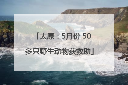 太原：5月份 50多只野生动物获救助