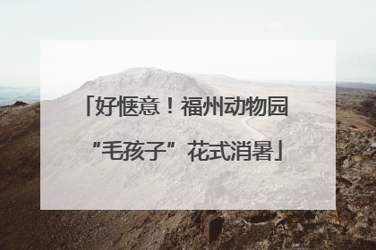 好惬意！福州动物园“毛孩子”花式消暑