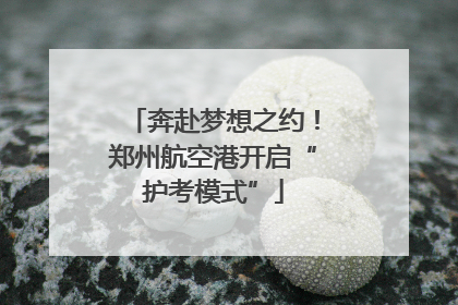 奔赴梦想之约！郑州航空港开启“护考模式”
