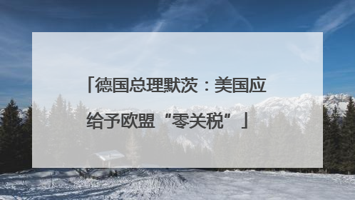 德国总理默茨：美国应给予欧盟“零关税”