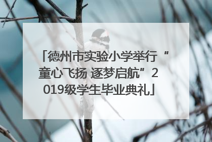 德州市实验小学举行“童心飞扬 逐梦启航”2019级学生毕业典礼