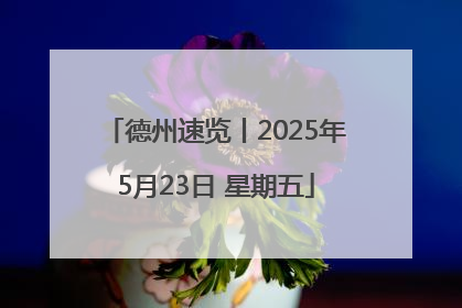 德州速览丨2025年5月23日 星期五