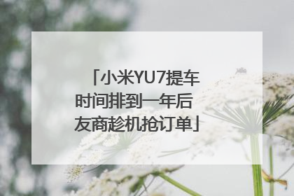 小米YU7提车时间排到一年后 友商趁机抢订单