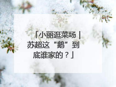 小丽逛菜场｜苏超这“鹅”到底谁家的？
