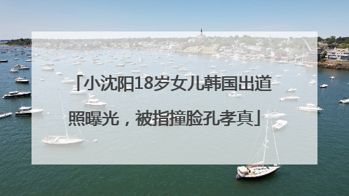 小沈阳18岁女儿韩国出道照曝光，被指撞脸孔孝真