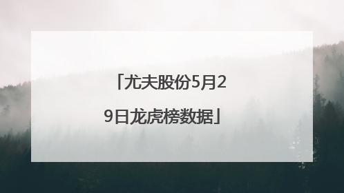 尤夫股份5月29日龙虎榜数据