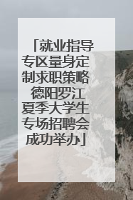 就业指导专区量身定制求职策略 德阳罗江夏季大学生专场招聘会成功举办