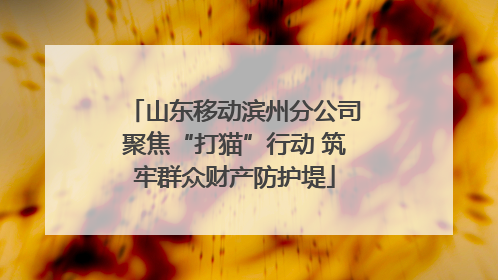 山东移动滨州分公司聚焦“打猫”行动 筑牢群众财产防护堤