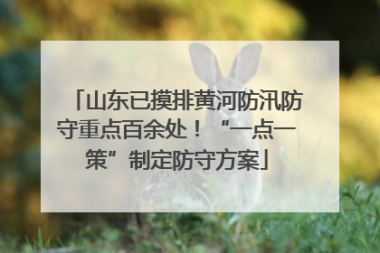 山东已摸排黄河防汛防守重点百余处！“一点一策”制定防守方案