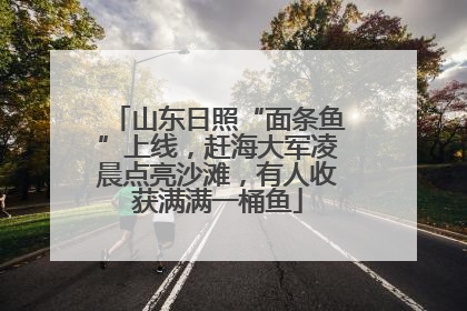 山东日照“面条鱼”上线，赶海大军凌晨点亮沙滩，有人收获满满一桶鱼