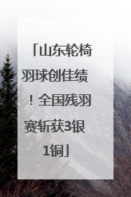 山东轮椅羽球创佳绩！全国残羽赛斩获3银1铜