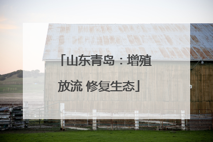 山东青岛：增殖放流 修复生态