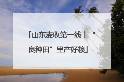 山东麦收第一线丨“良种田”里产好粮