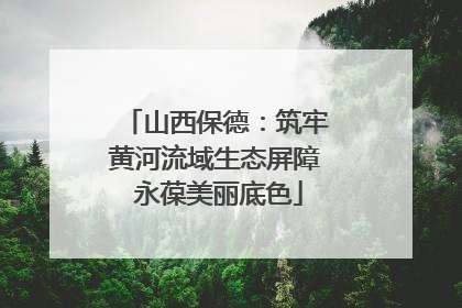 山西保德：筑牢黄河流域生态屏障 永葆美丽底色