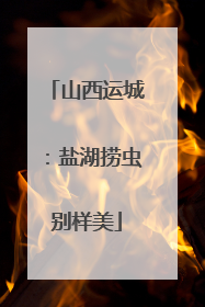 山西运城：盐湖捞虫别样美