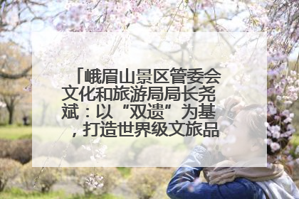峨眉山景区管委会文化和旅游局局长尧斌：以“双遗”为基，打造世界级文旅品牌与国际典范