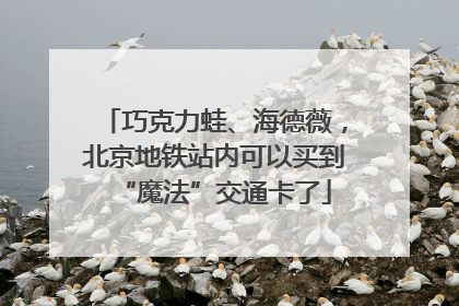 巧克力蛙、海德薇，北京地铁站内可以买到“魔法”交通卡了