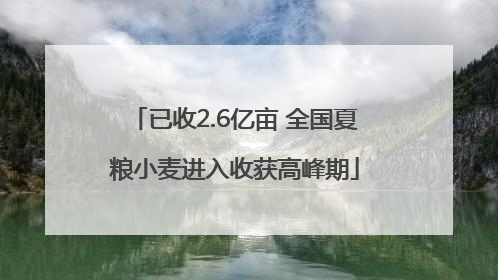 已收2.6亿亩 全国夏粮小麦进入收获高峰期