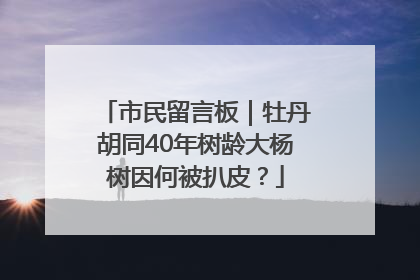 市民留言板｜牡丹胡同40年树龄大杨树因何被扒皮？