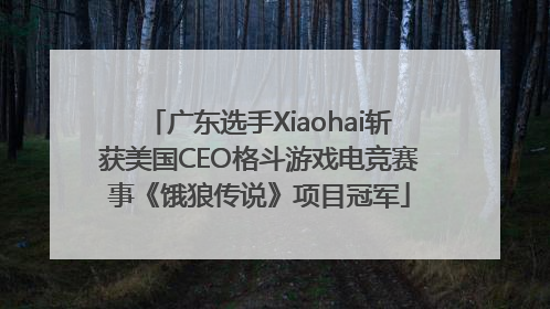 广东选手Xiaohai斩获美国CEO格斗游戏电竞赛事《饿狼传说》项目冠军