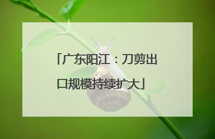 广东阳江：刀剪出口规模持续扩大