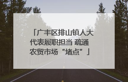 广丰区排山镇人大代表履职担当 疏通农贸市场“堵点”