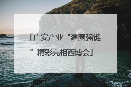 广安产业“建圈强链”精彩亮相西博会