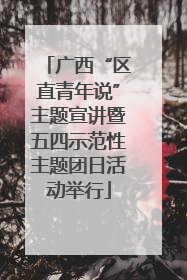 广西“区直青年说”主题宣讲暨五四示范性主题团日活动举行