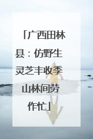 广西田林县：仿野生灵芝丰收季 山林间劳作忙